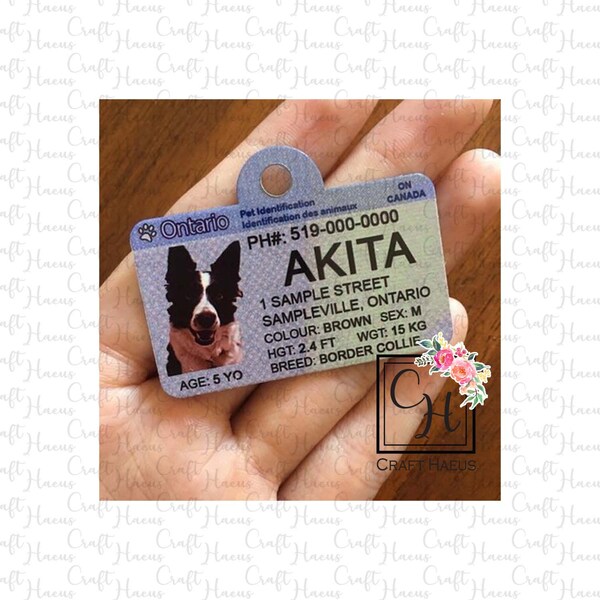 Dog Driver License - Etsy