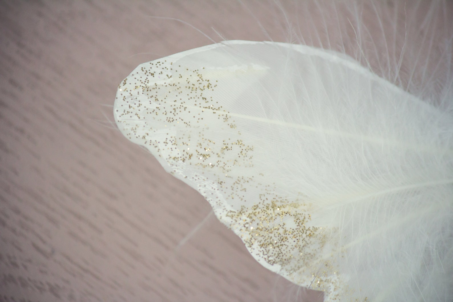 Feather Butterfly Wall Decorations 3D Wall Decals Girls Bedroom