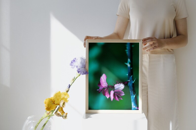 Calming Art for Bedroom, Nature Art Print, Peaceful Artwork, Art Print