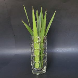 May include: A clear glass vase with a textured, geometric design contains several long, green leaves. The leaves have pointed tips and are arranged vertically, creating a simple, natural display against a dark backdrop.