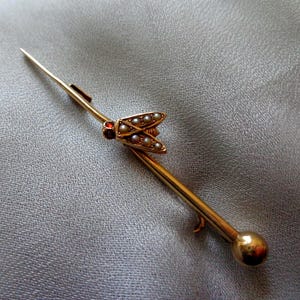 Victorian 14K bar bug brooch with seed pearls and red gems.