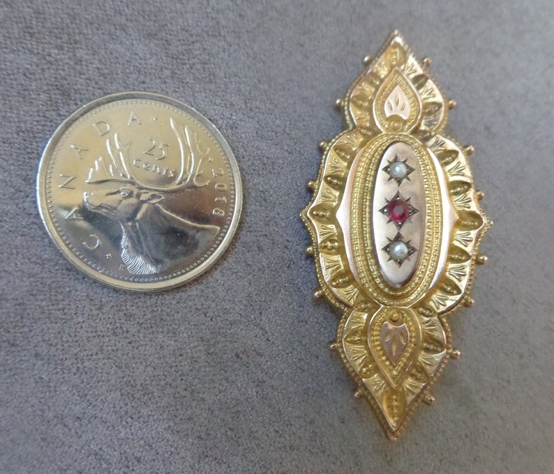 May include: A gold-toned brooch with an oval centre featuring a red stone and two white pearls. The brooch is intricately detailed with a floral design.