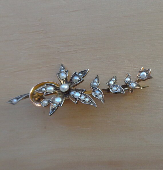Edwardian gold brooch with seed pearls - Gem