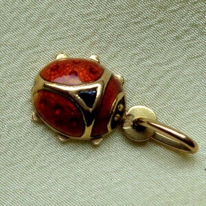 Puede incluir: Un dije de oro con forma de mariquita con alas de esmalte rojo que presentan pequeños puntos oscuros y un acento triangular negro cerca de la cabeza. El dije incluye una pequeña argolla circular de oro en la parte superior para colgar.