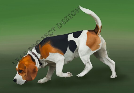 beagle pro
