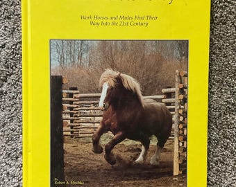 Draft Horses Today - Robert A Mischka