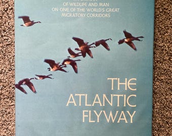 The Atlantic Flyway - Robert Elman