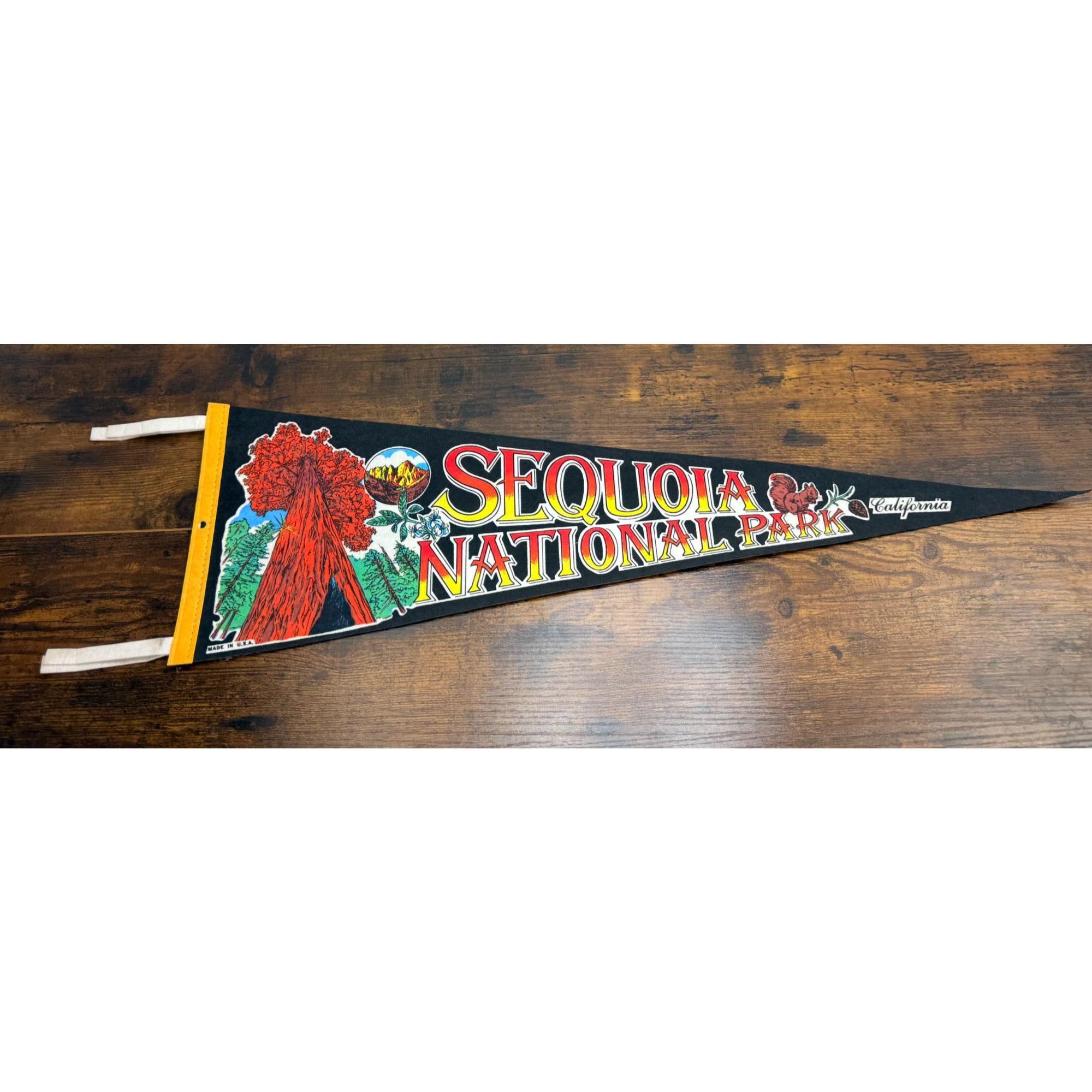 Vintage Usa Souvenir Pennants - Etsy