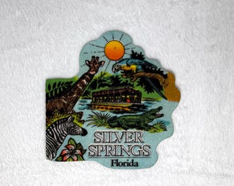Vintage Silver Springs, Florida pennant