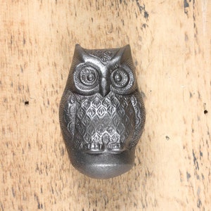 Op de afbeelding: Een zwart metalen uilbeeldje met gedetailleerde veren en grote ogen. De uil zit op een houten oppervlak.