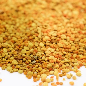 Bee Pollen Bulk Bag Free shipping