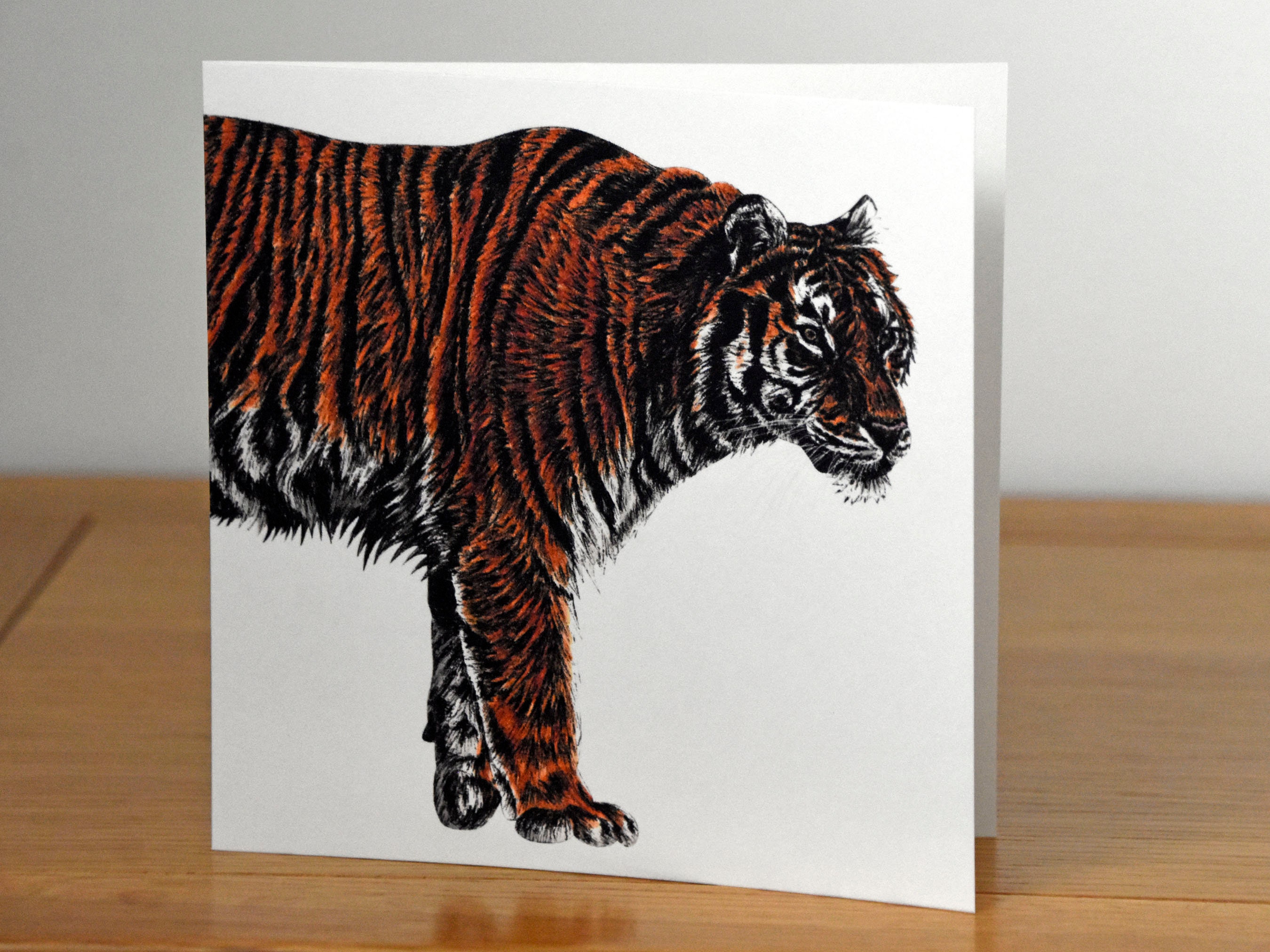 Amur Tiger Square Fine Art Blank Animal Greetings Card Big Cat