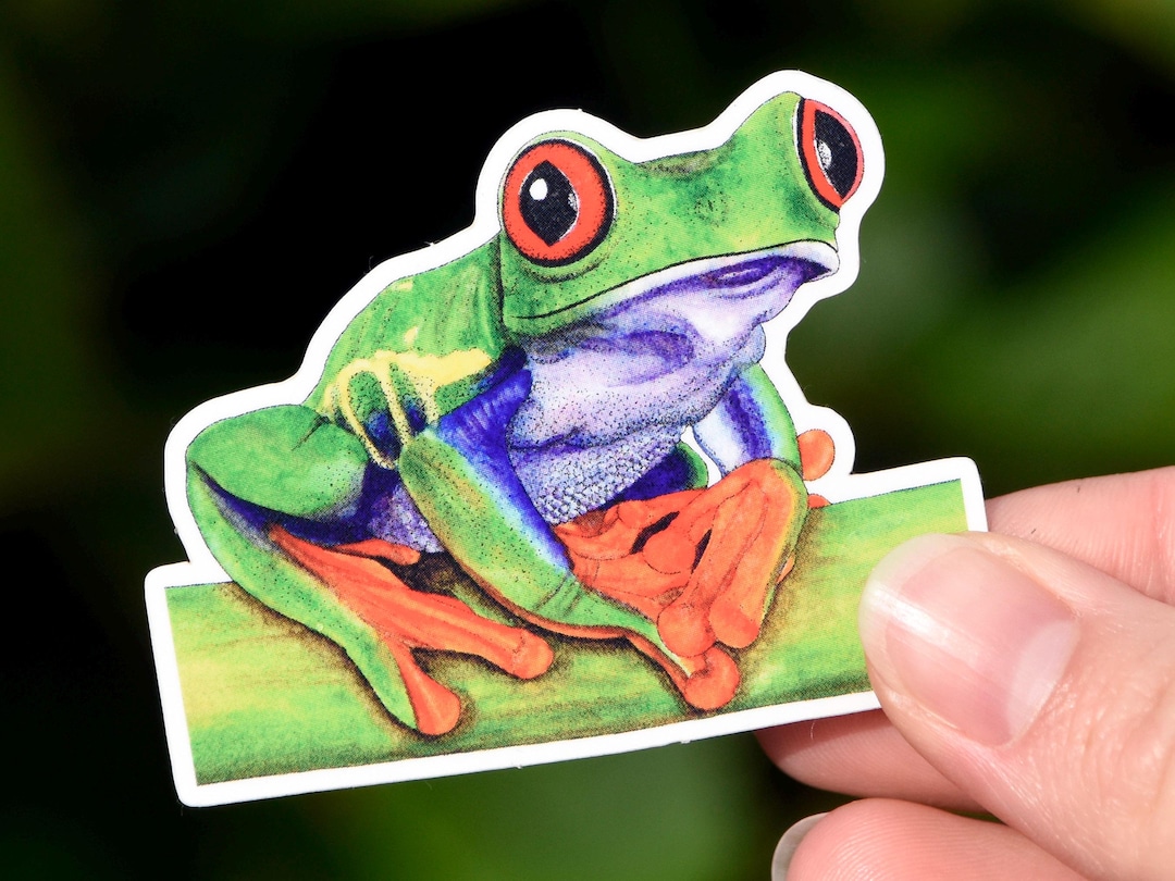Tree Frog Sticker Red Eyed Tree Frog Sticker | Glossy Vinyl Decal | Amazon Wildlife ...