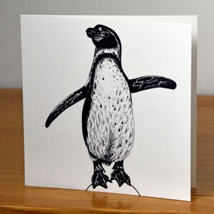 Humboldt penguin - square fine art blank animal greetings card - wild wildlife ink illustration drawing portrait birthday cute bird penguins