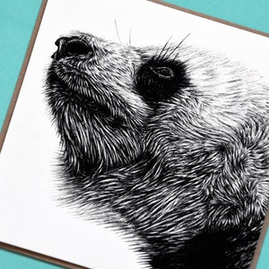 Panda géant ours - carré vierge animal carte de vœux - art sauvage faune encre illustration dessin portrait anniversaire mignon pandas ours poilu