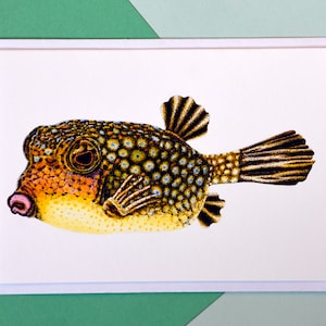 Gelber Kofferfisch - A6 Fine Art Blanko Grußkarte Tier - Wildtier Zeichnung Illustration Geburtstag Marine Ozean Fisch Meer
