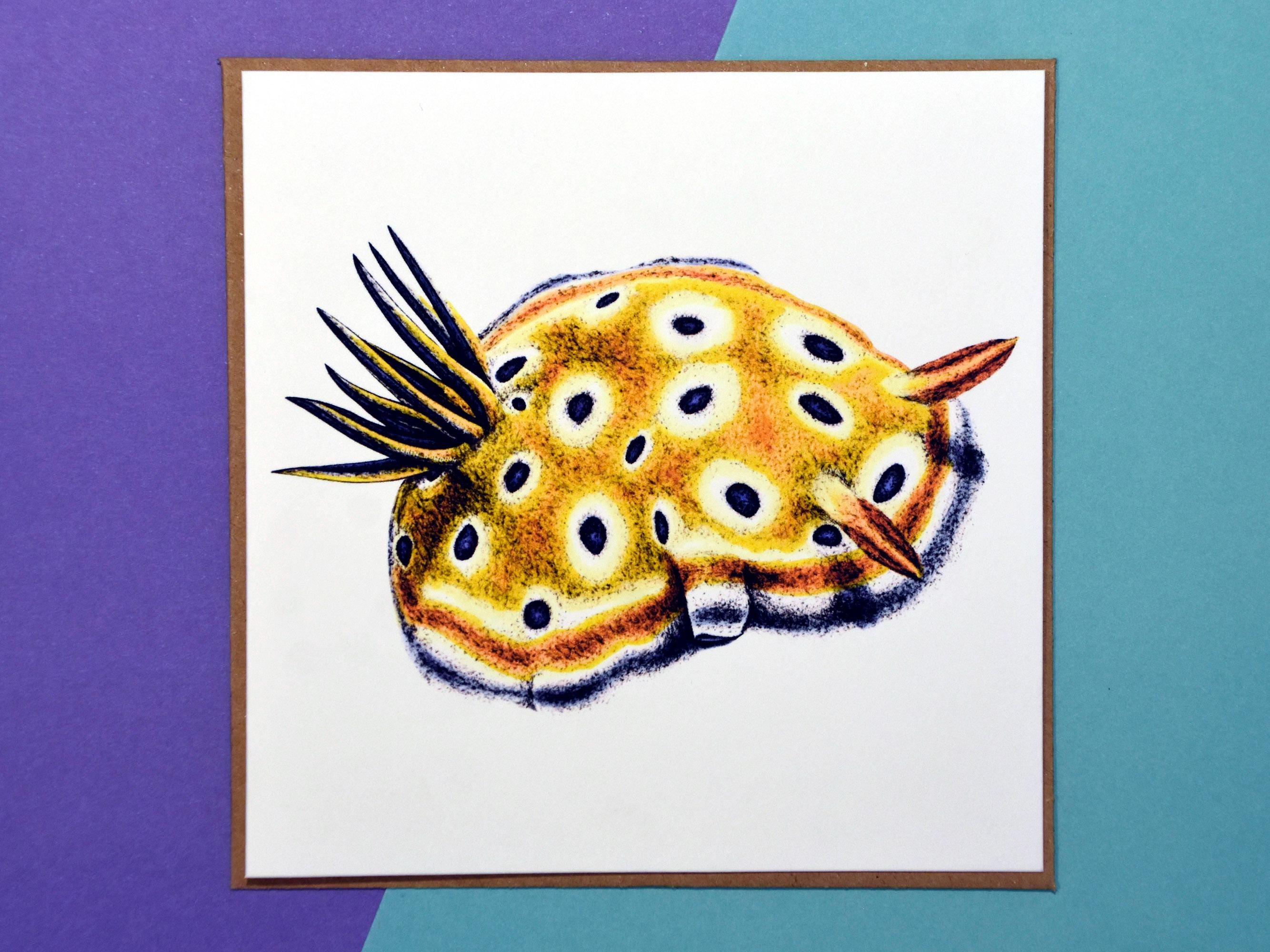 Nudibranch Drawing - Etsy