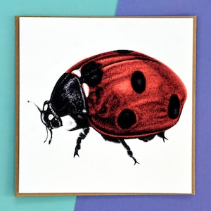 Carte de voeux artistique coccinelle - carte d'anniversaire carrée vierge - coccinelle à sept points