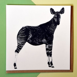 Okapi - square blank animal greetings card - art wild wildlife ink illustration drawing portrait birthday cute endangered forest giraffe