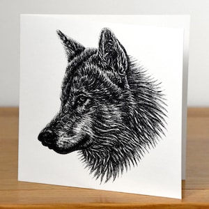 Europäischer Wolf - quadratische Kunst Blanko Tier Grußkarte - wilder Hund Wildtier Tinte Illustration Zeichnung Gesicht Portrait Geburtstagskarte Hunde