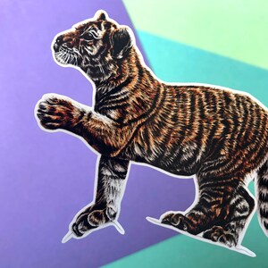 Op de afbeelding: Een sticker van een bruin en zwart tijgerwelpje met witte strepen. Het tijgerwelpje staat op zijn achterpoten met zijn voorpoot omhoog.
