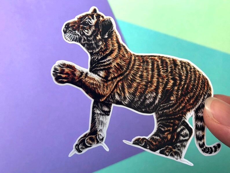 Op de afbeelding: Een sticker van een bruin en zwart tijgerwelpje met witte strepen. Het tijgerwelpje staat op zijn achterpoten met zijn voorpoot omhoog.