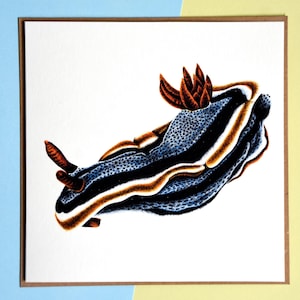 Blue nudibranch greetings card - blank birthday - ocean wildlife illustration - sea slug drawing - Chromodoris annae - marine sea animal