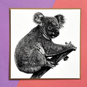 Koala Bär - Karte quadratisch blanko Tier - Kunst wild Natur Illustration Tusche Zeichnung Portrait Geburtstag niedlich Koalabären flauschig