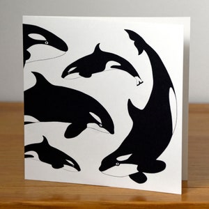 Orca pod - Grußkarte quadratisch Fine Art Blanko Tier Karte - Illustration Illustration Tusche Zeichnung Portrait Geburtstagskarte Schwertwal Delfin