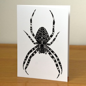 Garden spider - A6 fine art blank animal greetings card - wild wildlife ink illustration drawing birthday bug insect arachnid creepy crawly