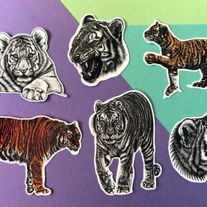Op de afbeelding: Een set van zes tijgerstickers, met verschillende poses en stijlen. De stickers zijn zwart-wit, sommige met oranje en zwarte strepen. De stickers zijn perfect om een vleugje natuur aan je laptop, waterfles of planner toe te voegen.
