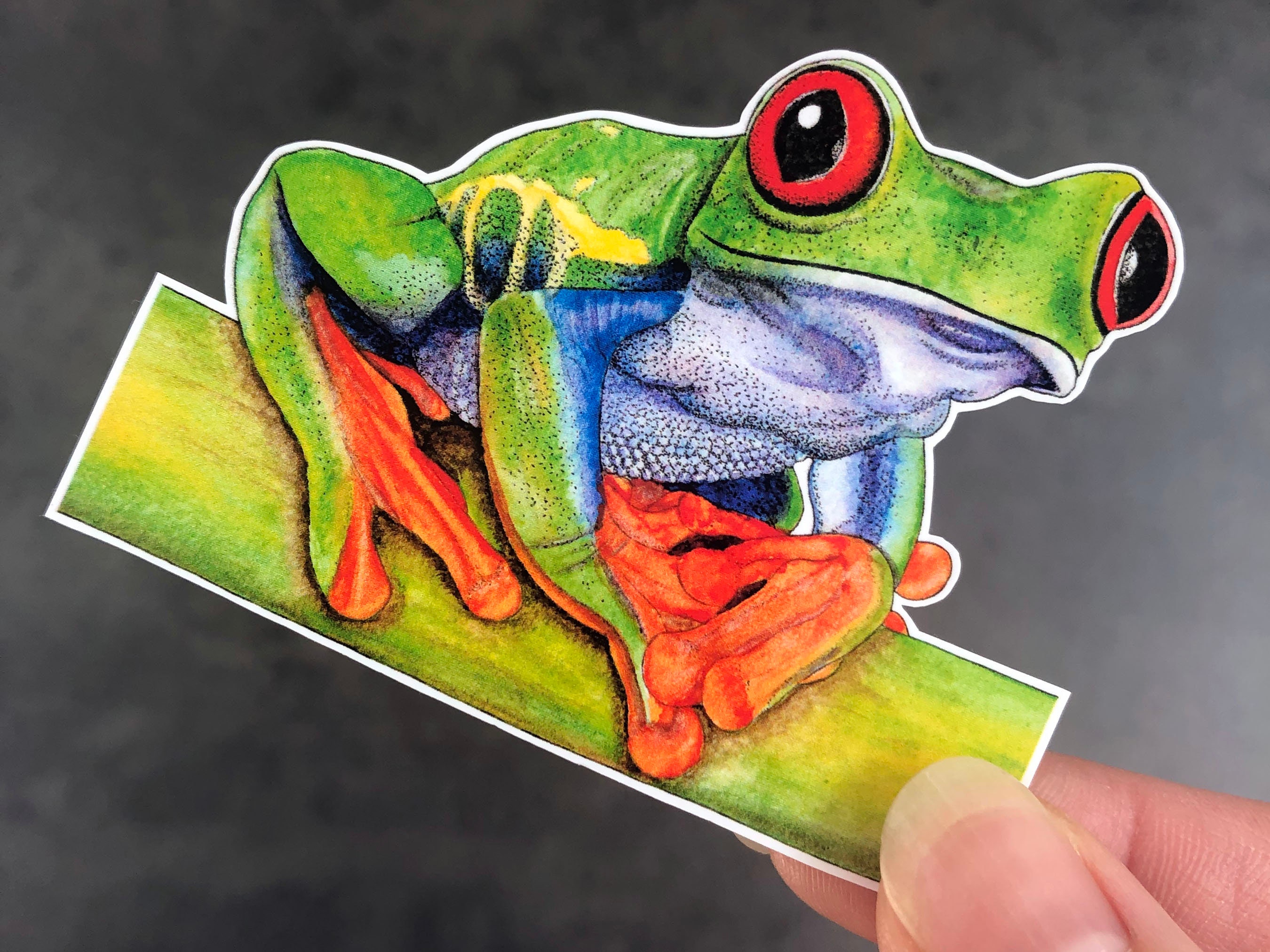 Frog Illustration Sticker Set - Pack of 6 Vinyl Stickers - Tropical ...