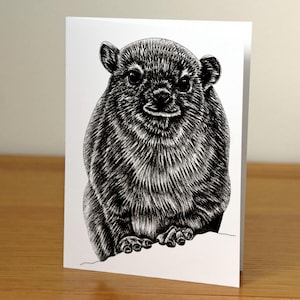 Hyrax des rochers - carte de voeux animaux vierges A6 beaux-arts - mignons animaux dassie faune sauvage dessin à l'encre illustration anniversaire lapin de roche