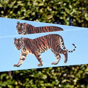 May include: Two rectangular light blue bookmarks featuring a detailed illustration of a tiger walking. The tiger has orange fur with black stripes and white accents on its face and underbelly. The bookmarks have rounded corners and a smooth finish.
