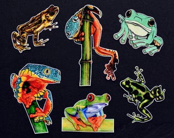 Ensemble d'autocollants illustration grenouille - lot de 6 autocollants en vinyle - sticker coloré animal tropical en voie de disparition rainette amphibie grenouille verte