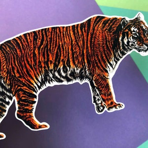 Op de afbeelding: Een sticker van een oranje en zwarte tijger met witte strepen. De tijger loopt naar rechts en kijkt over zijn schouder terug.