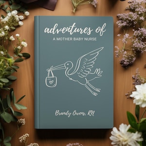 May include: A blue book with the title "adventures of a mother baby nurse" and a white illustration of a stork carrying a baby in a bag. The author's name is Brandy Owens, RN.