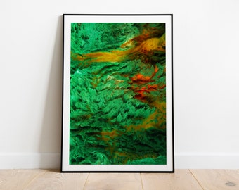 Art print 'Wild Life 4'