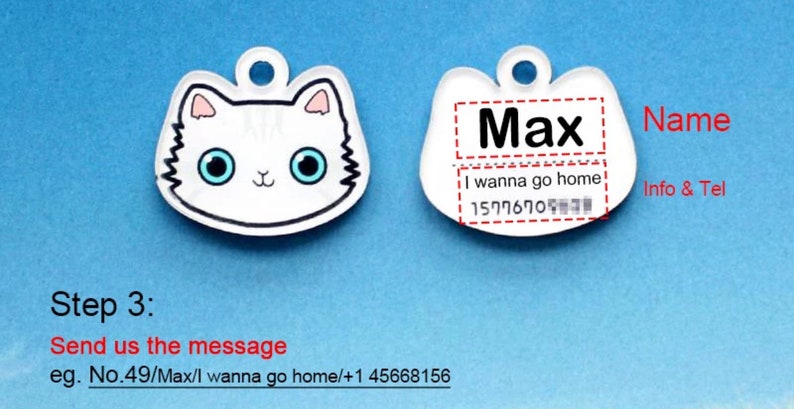 May include: White cat-shaped pet ID tag with a blue background. The tag has the name "Max" and the text "I wanna go home!" with a phone number.