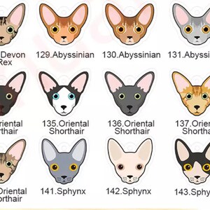 May include: A collection of 16 illustrated cat breeds, including Devon Rex, Abyssinian, Oriental Shorthair, and Sphynx. Each breed is labeled with its name and number.