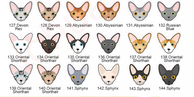 May include: A collection of 16 illustrated cat breeds, including Devon Rex, Abyssinian, Oriental Shorthair, and Sphynx. Each breed is labeled with its name and number.
