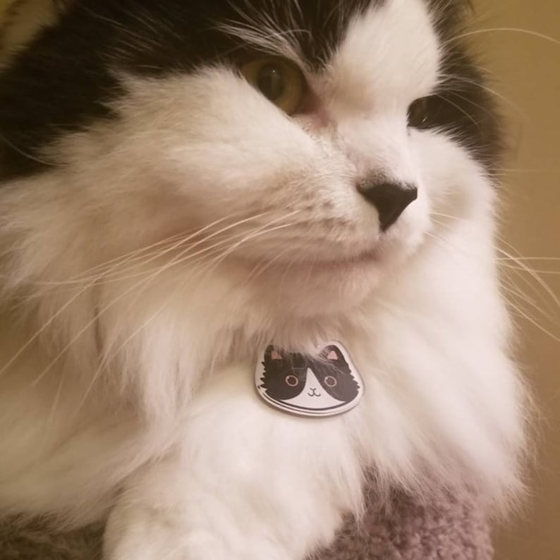 May include: A black and white cat with long, fluffy fur is wearing a black and white cat-shaped tag around its neck. The tag has a white face with black eyes and a small pink nose.
