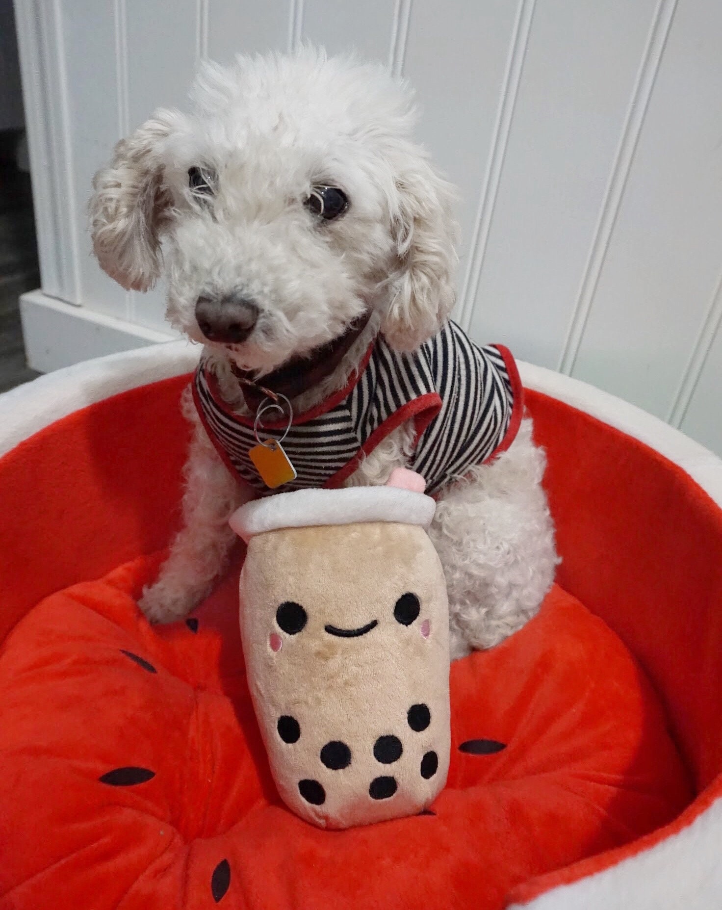 Süße Blase Tee Plüsch Hund Spielzeug mit Quietsche Süße Etsy