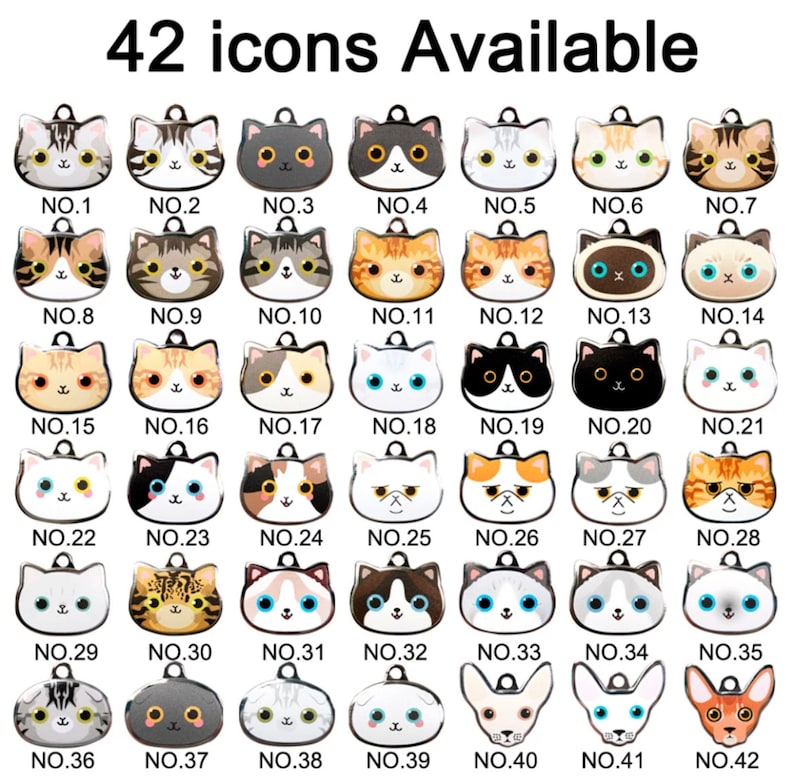 May include: A set of 42 silver charm pendants featuring different cat and dog illustrations. The charms are numbered from 1 to 42.