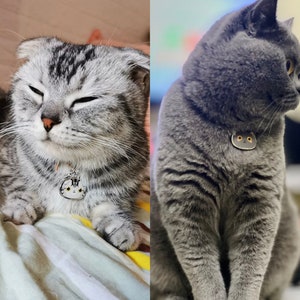 May include: Two cats wearing collars with cat-shaped tags. The cat on the left is a silver tabby with closed eyes. The cat on the right is a gray British Shorthair.
