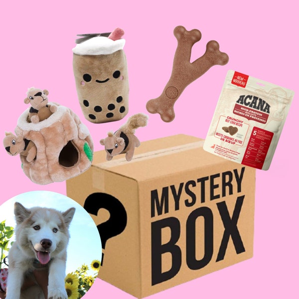 Dog Mystery Box | Cute Squeak Dog Toys | Dog Accessories | Dog Plush Toy Gifts for Dog Owner New Puppy Gift | Dog Toys for Chewer| Puppy Toy