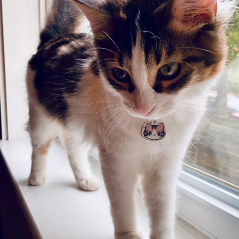 May include: A tri-colored cat with a white chest and paws stands on a white surface. The cat is wearing a pink cat-shaped tag with black eyes and a pink nose.