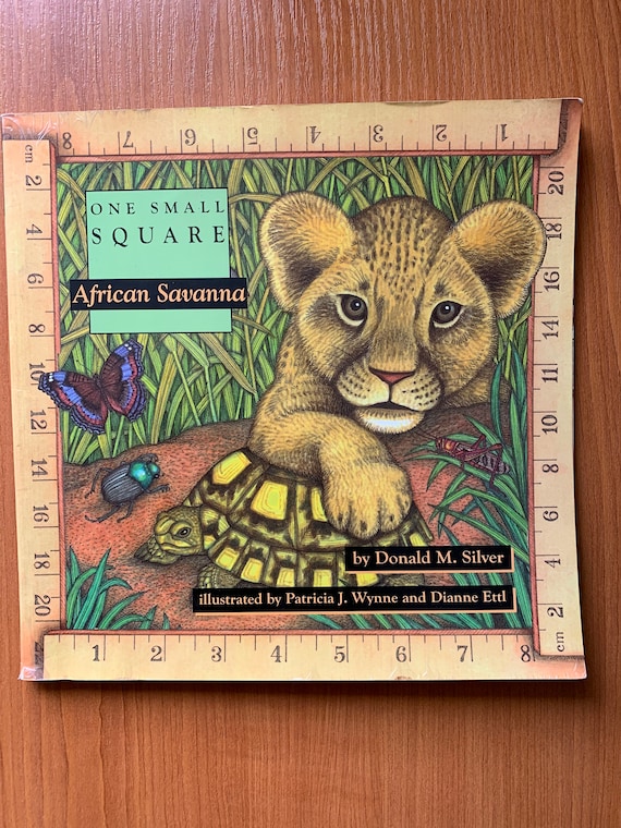 Animali selvatici Africa Vintage Bambini Libro Una piccola piazza Africa  Savanna 1994 Natura Educazione Scuola materna -  Italia