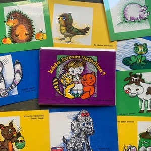 Tarjetas educativas en letón de 1981 para niños en edad preescolar, educación especial, Letonia, Riga, URSS, era soviética, CCCP, librería retro