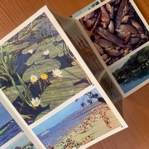 May include: An open vintage book with multiple images. One image shows water lilies with white and yellow flowers. Other images show a beach scene, fish, and a landscape with trees.